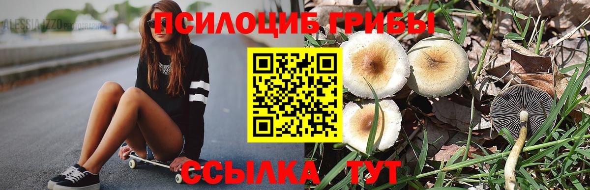 LSD-25  МАРИХУАНА  APVP СК   Меф МЯУ МЯУ   Мефедрон  ГАШИШ  Codein  Кокаин  Вход с VPN  Киселёвск  ЭКСТАЗИ 
