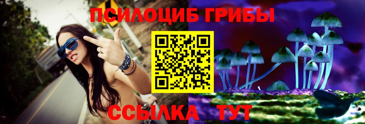 Киселёвск  Псилоцибиновые грибы ЛСД  Галлюциногенные грибы Magic Shrooms  Вход с VPN 